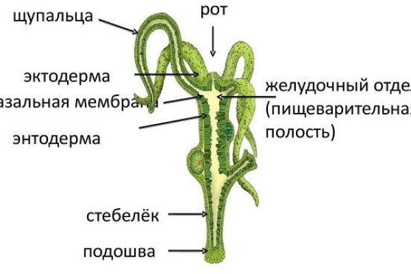 Кракен площадка kr2web in